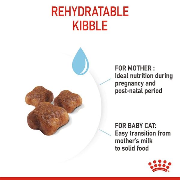 Mother & Babycat croquettes - Royal Canin