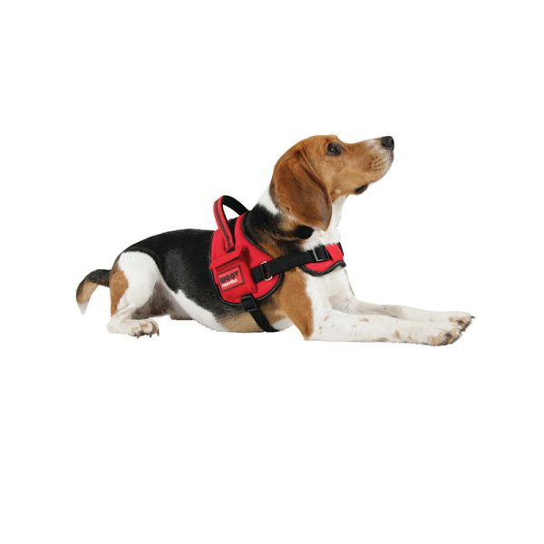 Harnais pour chien confort réglable moov rouge